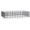 Outdoor Dog Kennel Steel 595.2 ft